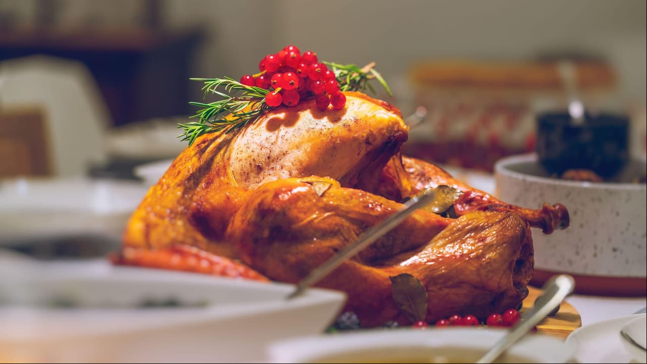 Pavo de Día de Acción de Gracias